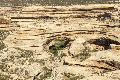 Natural Bridges Preserve June 2025